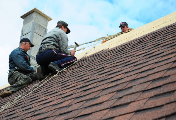 Best Roof Gutter Cleaning  in Goldsboro, NC