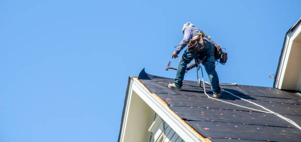 Best Flat Roof Repair Services  in Goldsboro, NC